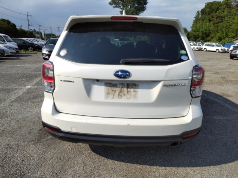 FORESTER
