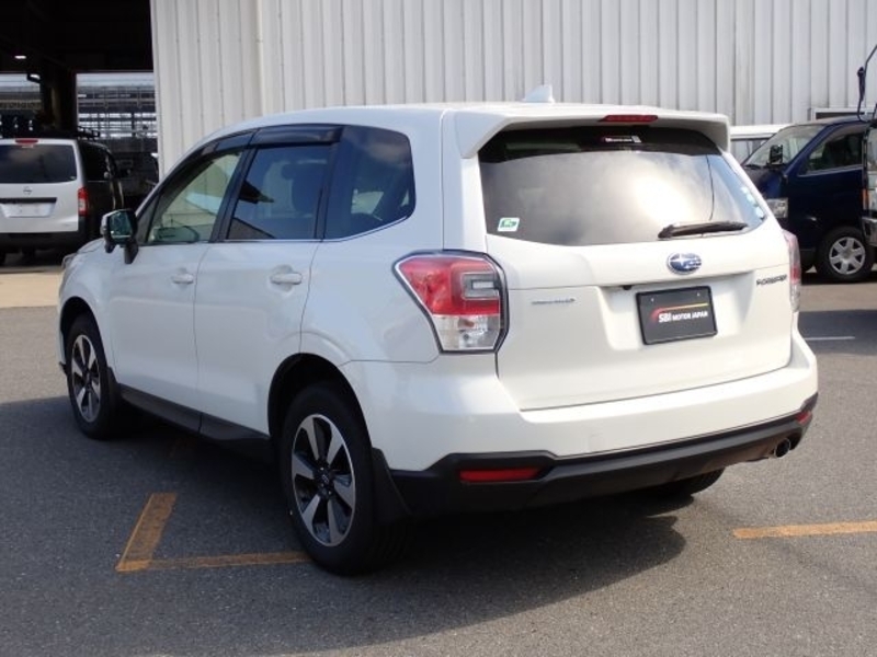 FORESTER