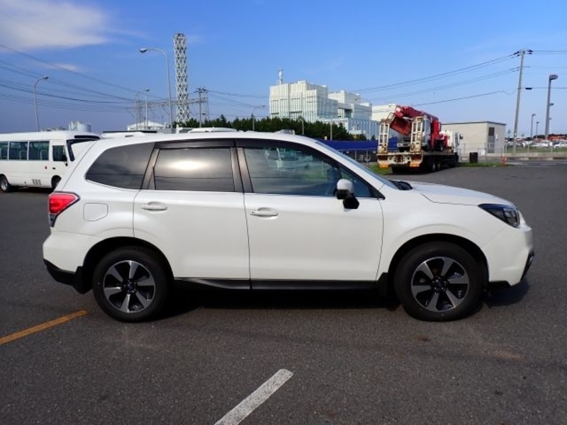 FORESTER