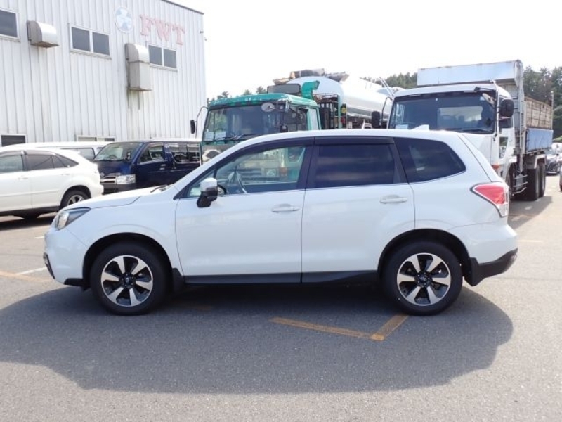 FORESTER