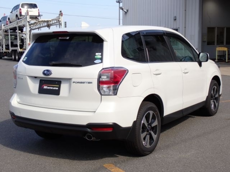FORESTER