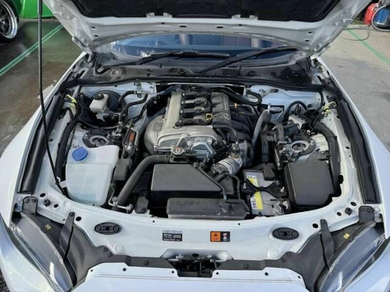 ROADSTER RF
