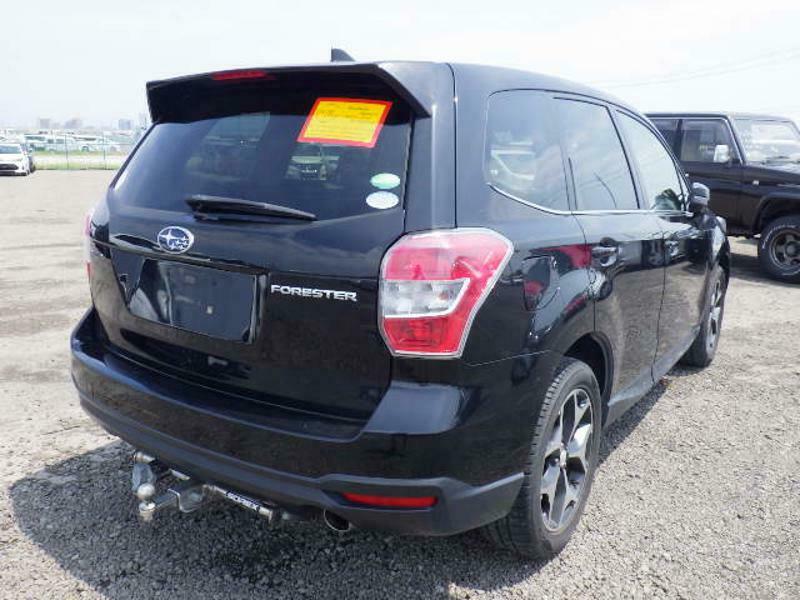 FORESTER