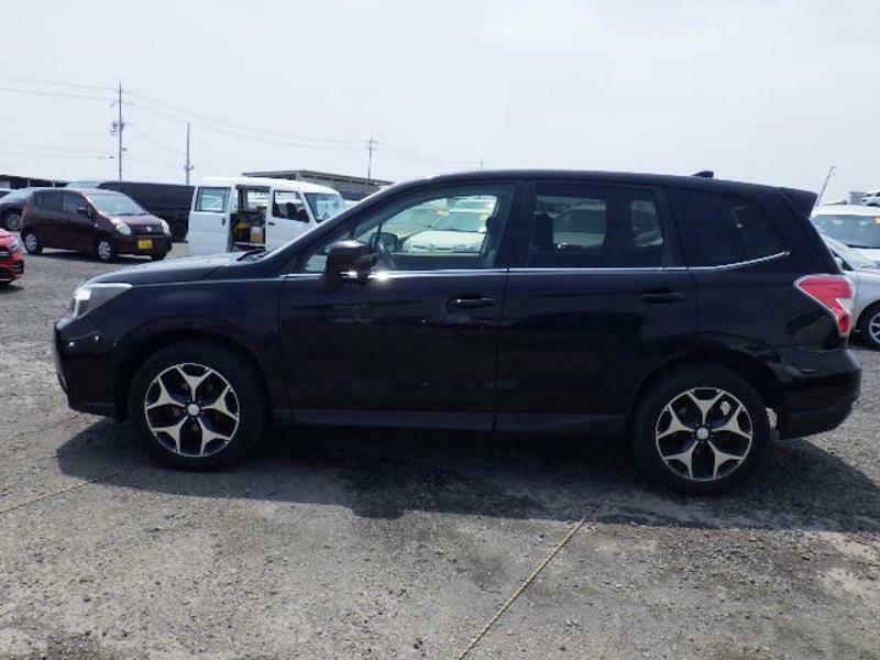 FORESTER