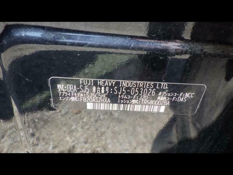 FORESTER
