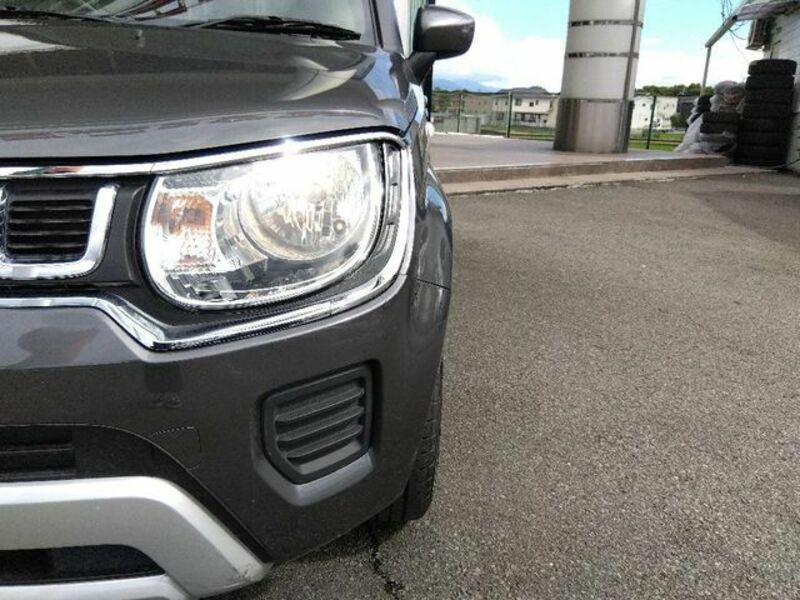 IGNIS
