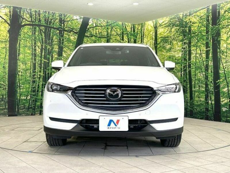 CX-8