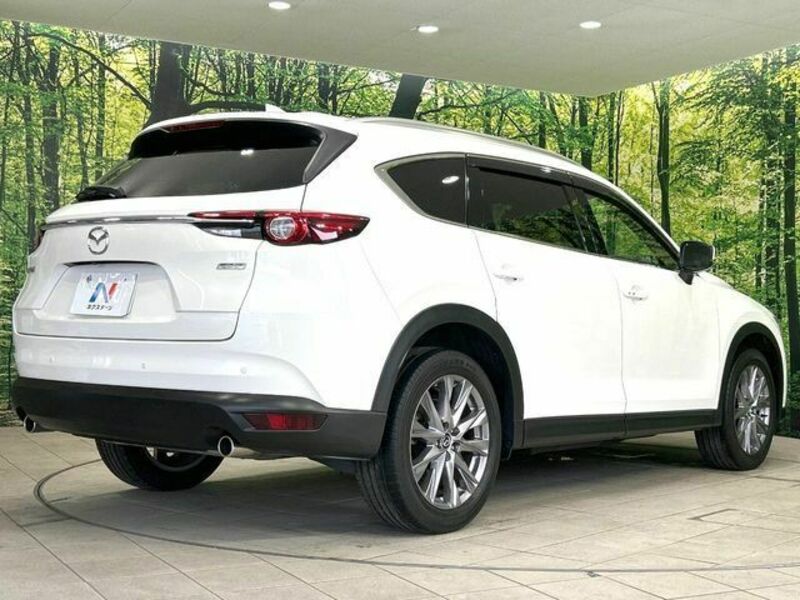 CX-8