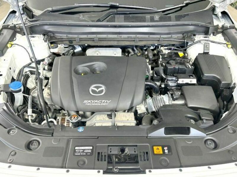 CX-8