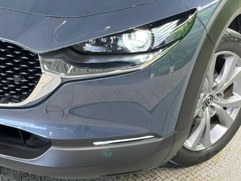 CX-30