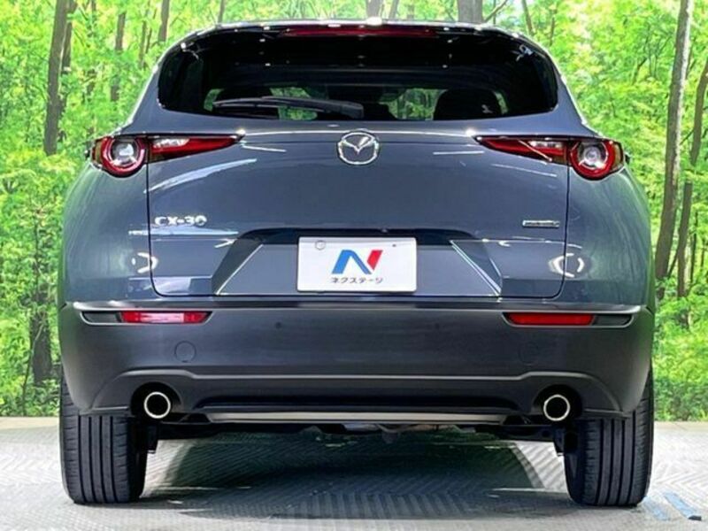 CX-30