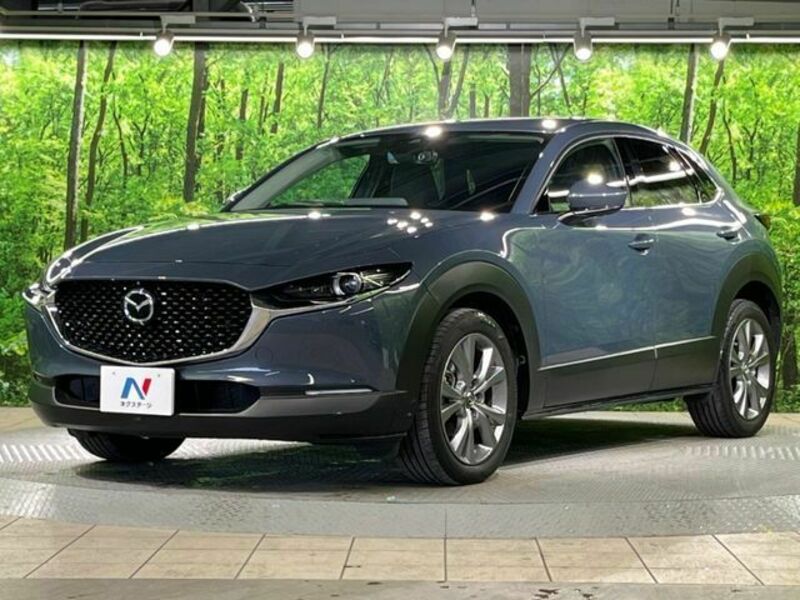 CX-30