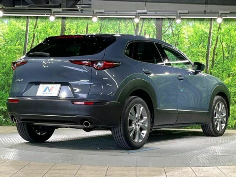 CX-30