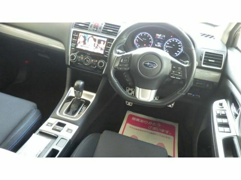 LEVORG