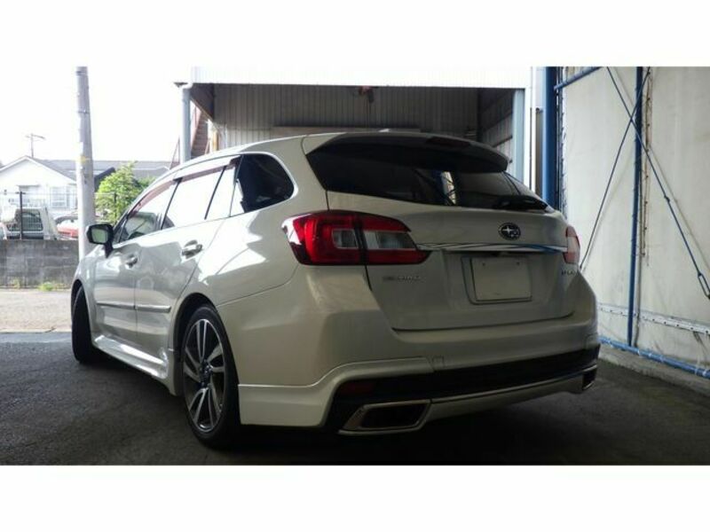 LEVORG