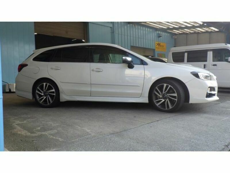 LEVORG