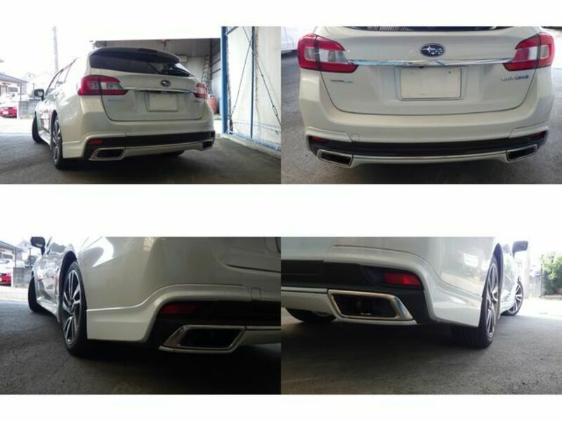 LEVORG