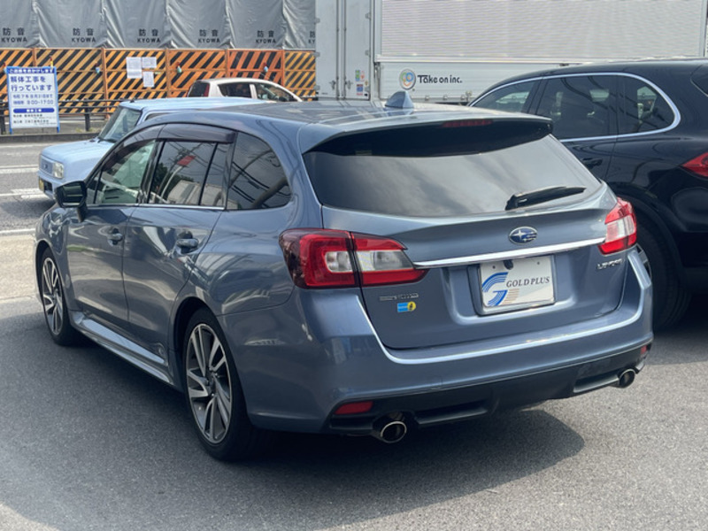 LEVORG