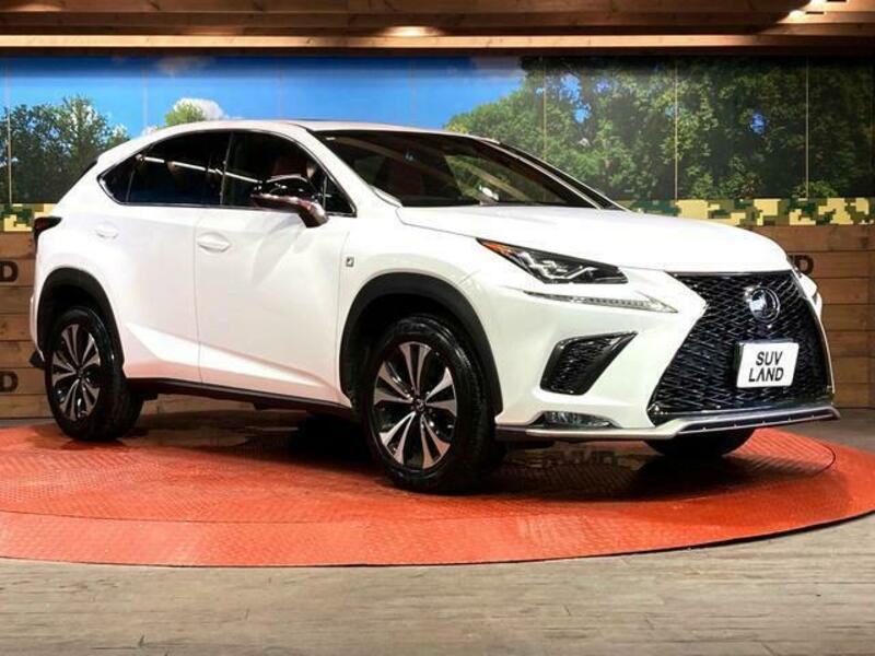 NX