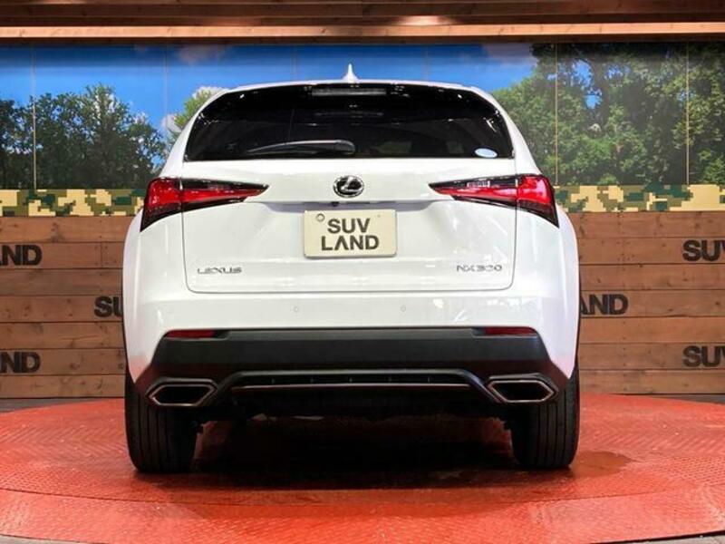 NX