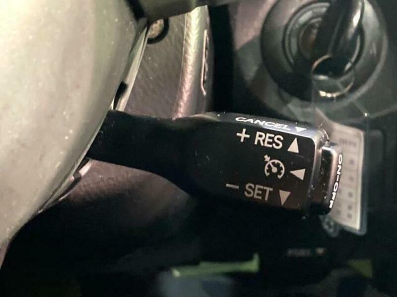 FJ CRUISER