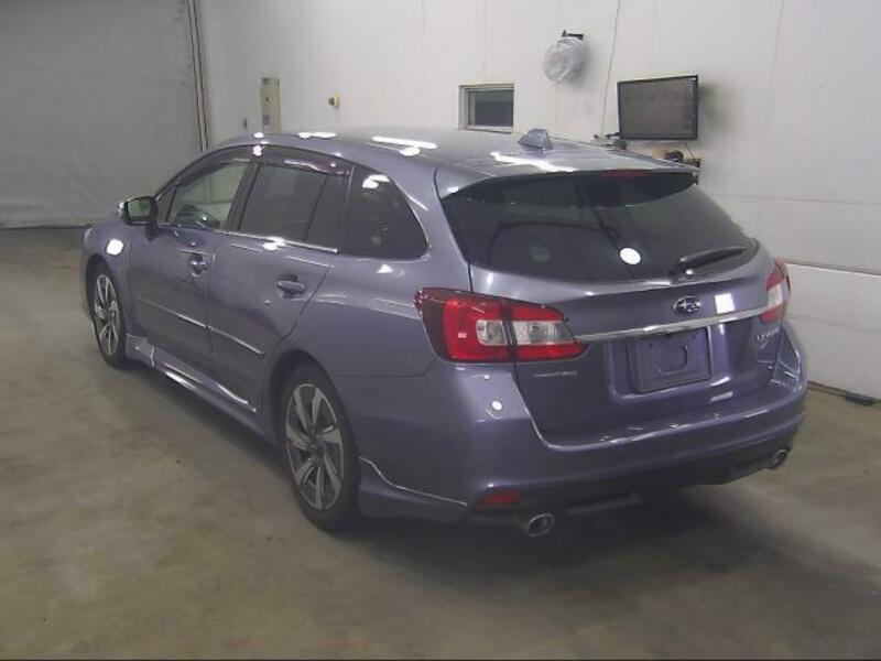 LEVORG
