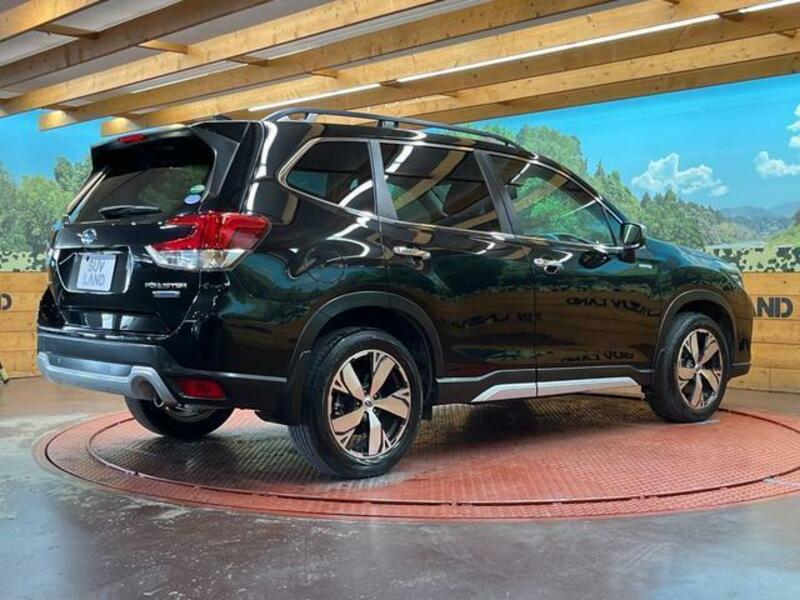 FORESTER