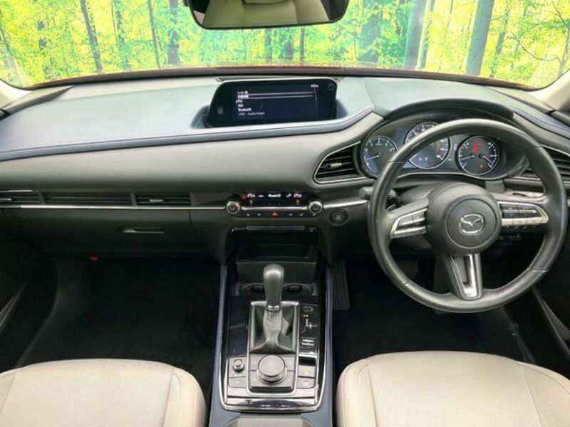 CX-30