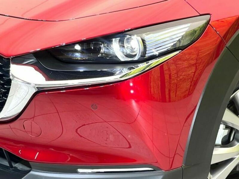 CX-30