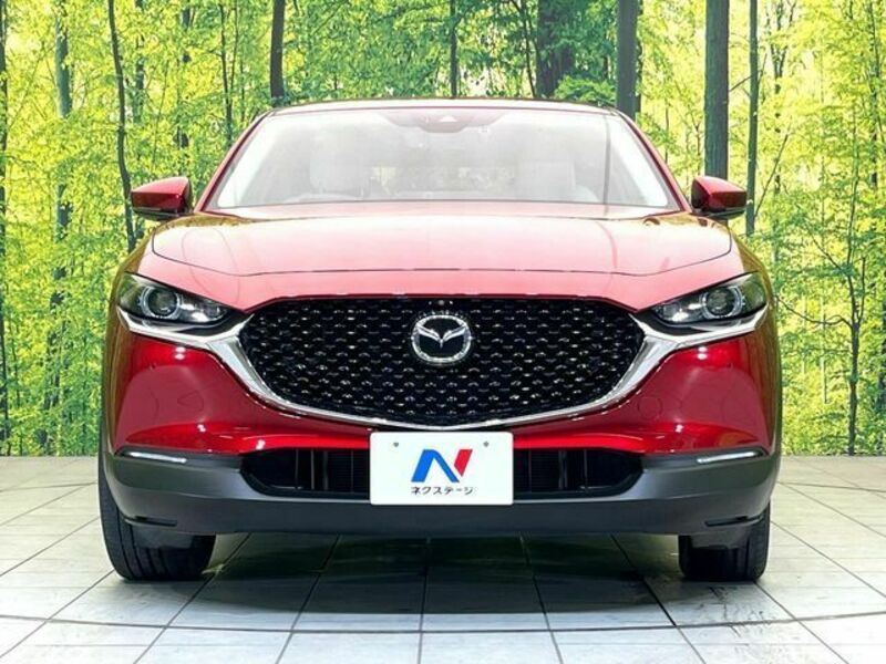 CX-30