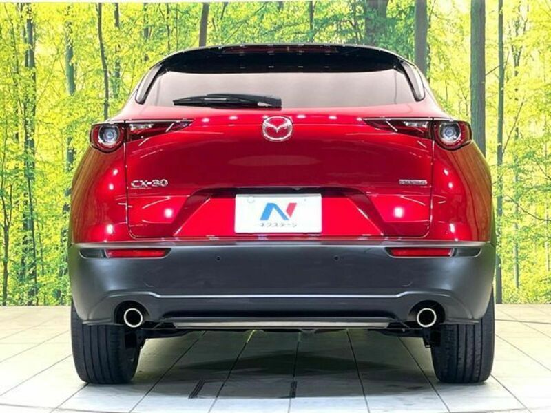 CX-30