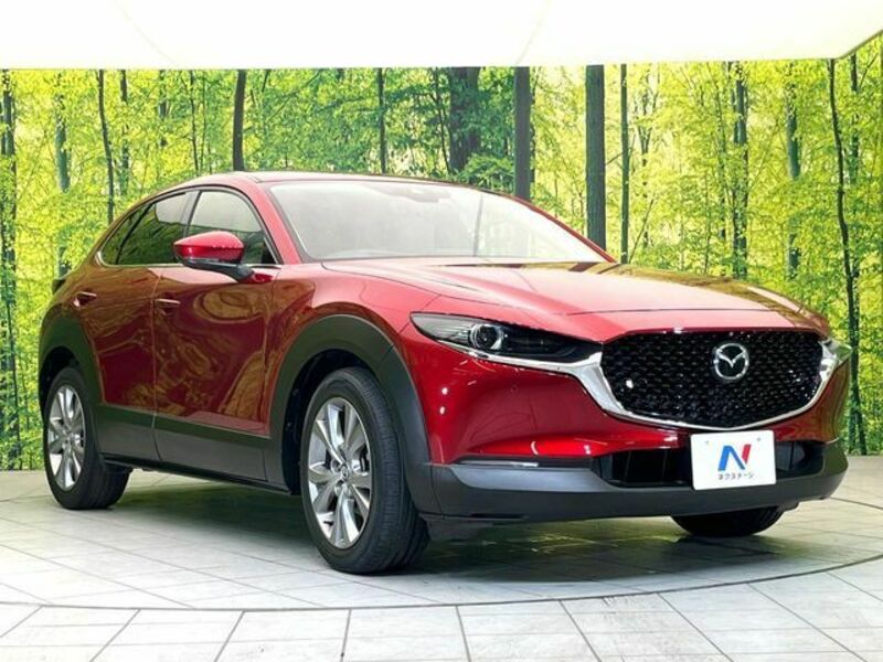 CX-30