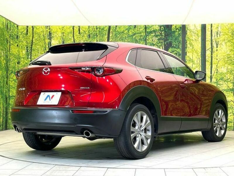 CX-30