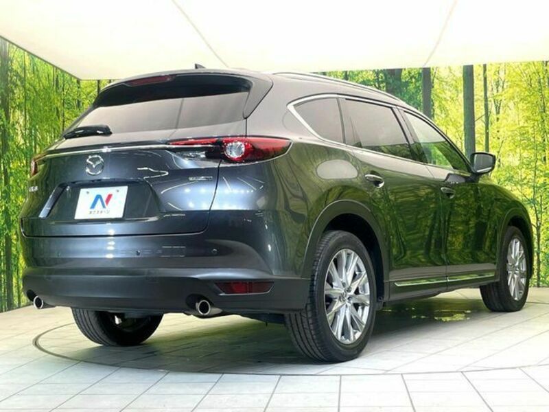 CX-8