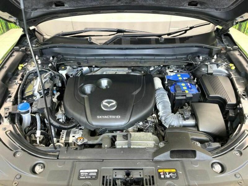 CX-8