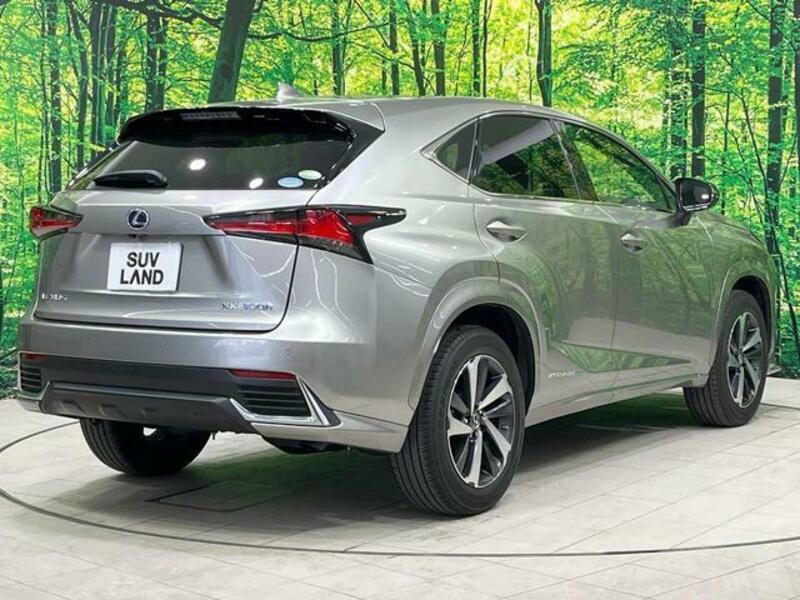 NX