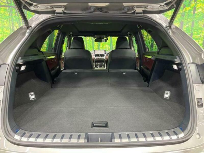 NX