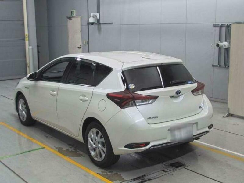 AURIS