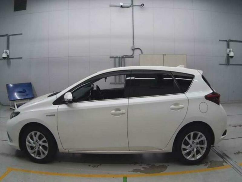 AURIS