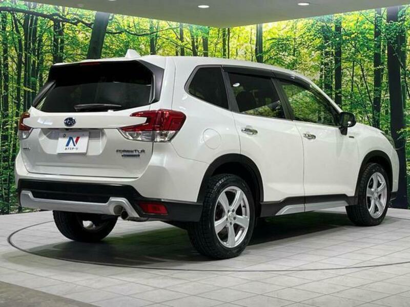 FORESTER