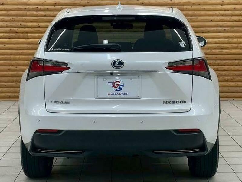 NX