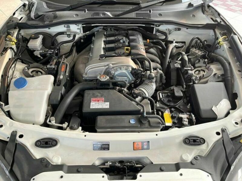 ROADSTER RF