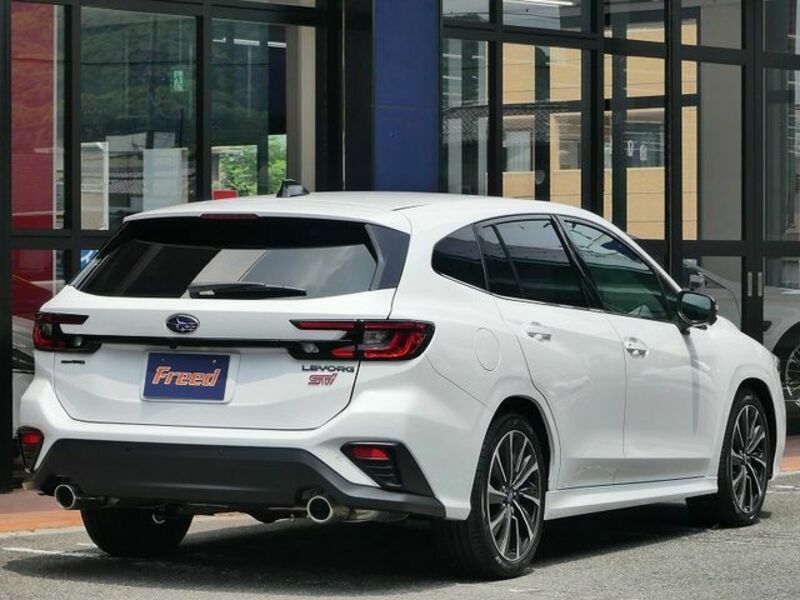 LEVORG