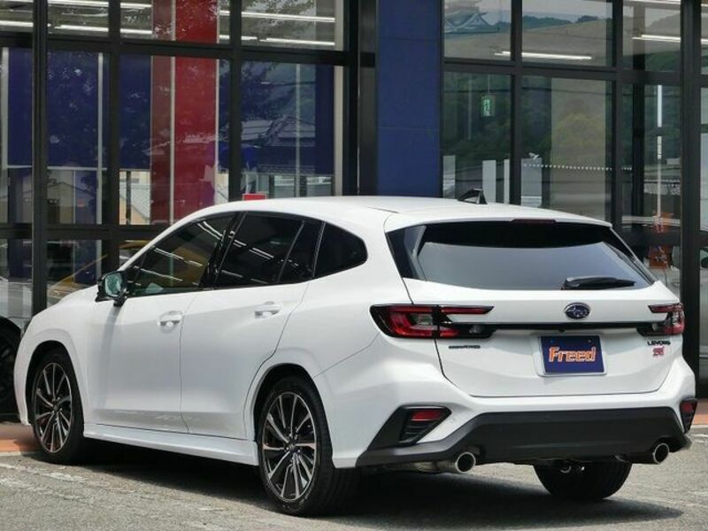 LEVORG