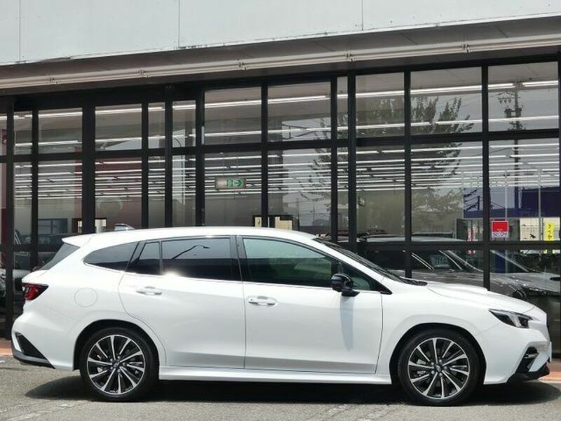 LEVORG