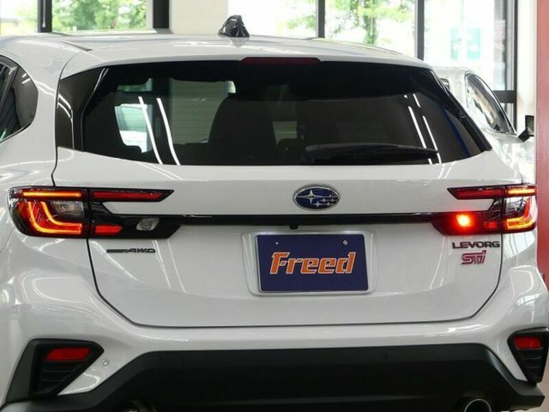 LEVORG