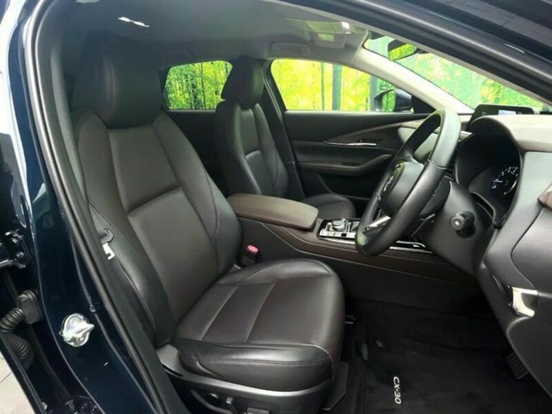 CX-30