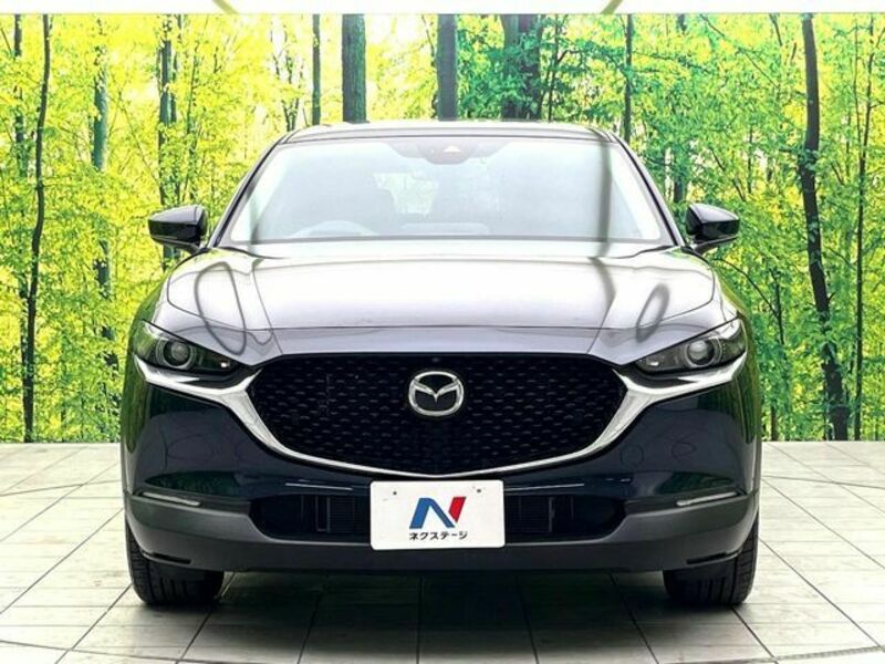 CX-30