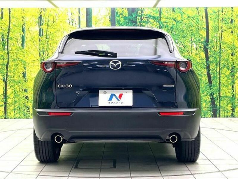 CX-30