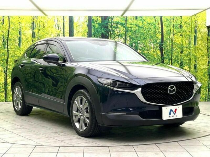 CX-30